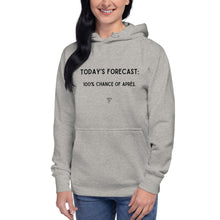 Load image into Gallery viewer, Today's Forecast: 100% Chance Of Après Unisex Hoodie